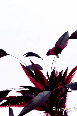 Gallo frusta Body Split - 23-28 cm - nero-carmino